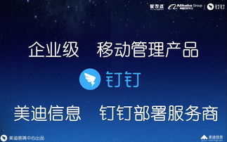 釘釘攜手管家婆 一站式企業信息化解決方案與服務網絡